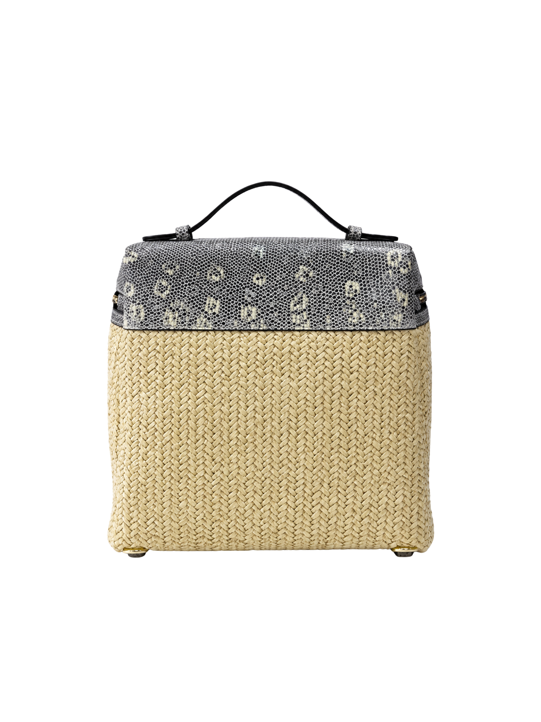 Jellykin 25 Woven Raffia Calf Leather-Trim Vanity Bag in Lizard — Back